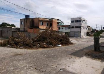 VÍDEOS – Comerciante reclama de lixão há mais de 30 dias no meio da Rua no Bairro Aviso