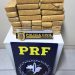 PC e PRF prendem em flagrante suspeito transportando cerca de 22kg de maconha.