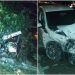 Caminhão carregado com verduras bate em carro e arranca árvore e poste no trevo do Lagoa do Meio