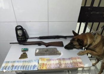 Droga, armas, munições, dinheiro e veículo furtado são encontrados pela Força Tática no interior de Linhares
