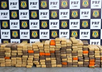 PRF e PF apreendem 180 quilos de maconha na BR-101 no ES