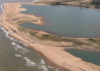 Edital permitirá a recuperação de mais de 4 mil hectares de vegetação nativa no ES