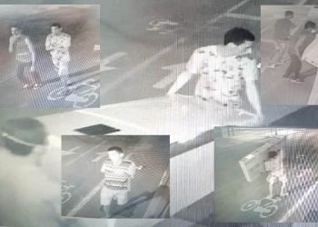 Ladrões furtam TVs e até geladeira em loja no centro de Linhares