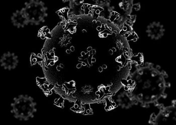 CORONAVÍRUS – Nona morte é registrada em Linhares e número de casos ativos se aproxima de cem