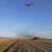 Nuvem de gafanhotos na Argentina deixa fronteira com Brasil em alerta