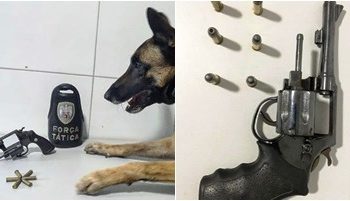 Policia Militar apreende duas armas de fogo, munições e 3 pessoas são conduzidas para a delegacia