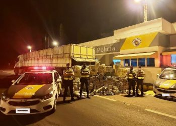 Carreta com placas de Sooretama é apreendido com 2,5 de maconha