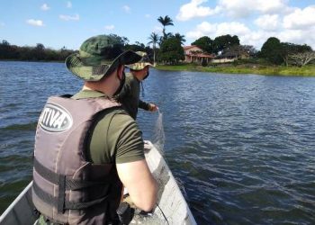 VÍDEOS – “Operação Pesca Legal” do BPMA apreende grande quantidade de rede e lagosta em Linhares.