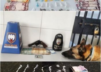 Policia Militar realizou várias apreensões de drogas no último domingo em Linhares