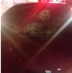 VÍDEO – Atropelamento deixa uma vítima fatal e outra ferida na via lateral da BR 101 em Linhares