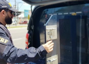 PRF prende fugitivo do Rio de Janeiro na BR 101 em Linhares