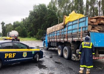PRF apreende madeira nativa transportada ilegalmente na BR 101