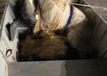 Polícia Ambiental apreende redes de pesca com vários peixes