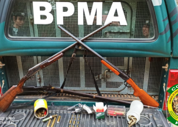 Policia Militar Ambiental apreende armas de fogo e munições em Fundão