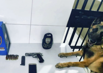 Pistola e 30 munições 9mm são apreendidas em veículo Honda Civic no Linhares 5