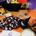 Sebrae/ES dá 7 dicas para o sucesso do negócio no Halloween