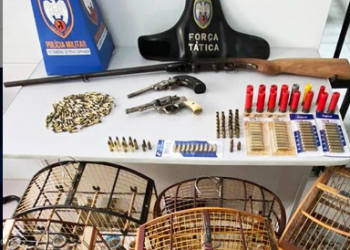 Policia apreende armas, farta munição e pássaros em casa no Interlagos
