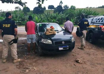 PRF realiza mais uma apreensão de drogas