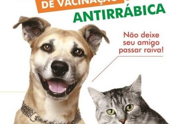Dia D da campanha de vacinação antirrábica acontece neste sábado (24)