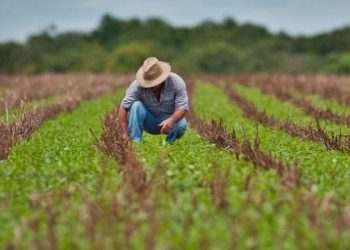 FUNDAÇÃO RENOVA – Produtores rurais de Linhares e de mais 3 municípios vão receber assistência técnica coletiva