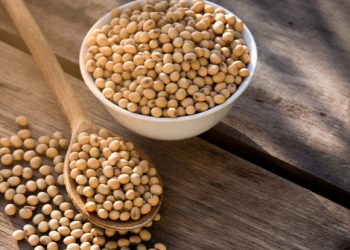 Governo zera imposto de importação da soja e do milho