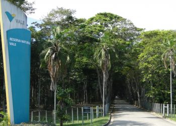 Caçadores de sementes e plantas raras na Reserva Vale