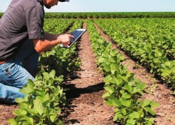 Palestra para produtores rurais apresenta as redes sociais como alternativa de venda