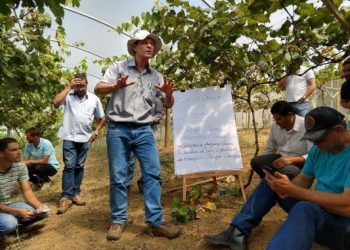 Assistência Técnica e Extensão Rural do Incaper realiza mais de 38 mil atendimentos em todo Estado