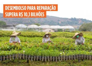 Indenização para trabalhadores informais avança