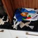 Policia Civil de Linhares e Sooretama apreende drogas durante cumprimento de mandado.