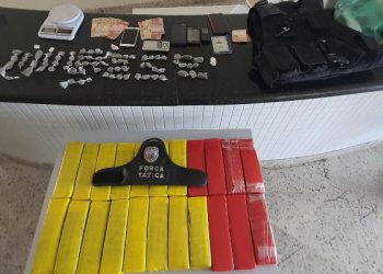 VÍDEO – Força Tática faz apreensão de grande quantidade de drogas em Linhares