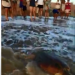 VÍDEO – Tartaruga reabilitada é solta no mar de Regência