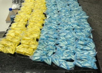 Apreensões de drogas no Nova Betânia, em Linhares deixa grande prejuízo para o tráfico