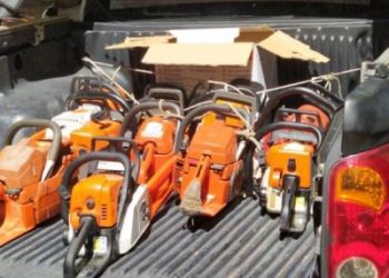 Polícia apreende 24 motosserras suspeitos de serem utilizados na prática de furto de madeira em São Mateus e Conceição da Barra