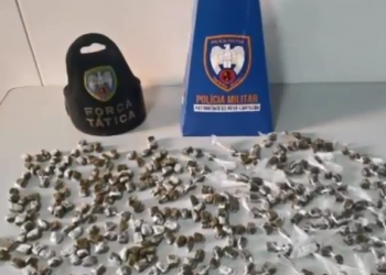 VÍDEO – Força Tática apreende mais de 300 buchas de maconha no Aviso