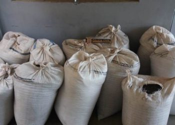 Polícia age rápido e recupera 24 sacas de pimenta furtadas no Norte do ES