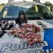 Drogas e rádios comunicadores são apreendidos pela PM em Vila do Riacho