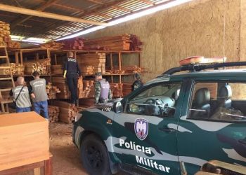 OPERAÇÃO CURUPIRA – MP desarticular grupos criminosos pela pratica de corte e desmatamento e tráfico de madeiras nativas