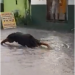 MUITOS VIDEOS – Chuva forte em Linhares; sinônimo de alagamentos em toda cidade