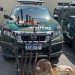 Polícia Ambiental apreende pássaros, caça abatida e armas, em Linhares