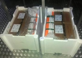 Estado recebe 48.200 novas doses para vacinação contra a Covid-19