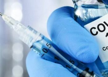 TCE-ES identifica fragilidades em planos de imunização e emite recomendações aos 78 municípios e à Sesa