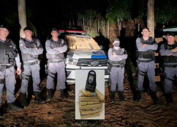 EM CIMA DA ÁRVORE – Força Tática faz apreensão de 28 quilos de maconha no interior de Colatina; veja vídeos