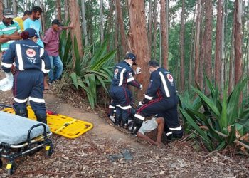 VIDEOS – Motocicleta que tinha pai e filho como ocupantes bate em árvore e filho morre no local