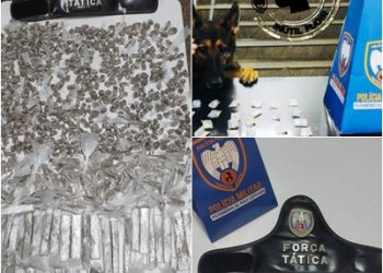 PM apreende Arma de fogo e drogas em João Neiva, Guaraná e Vila do Riacho