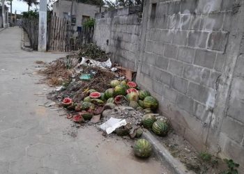 RIO QUARTEL – Moradores denunciam que vizinhos jogam entulhos e até animais mortos na Rua