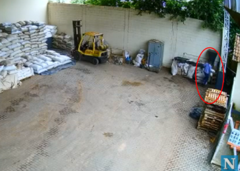 VÍDEO – Dois funcionários furtam 100 quilos de pimenta da própria empresa onde trabalham