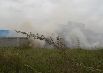 VÍDEOS – Moradores reclamam que fogo em terreno baldio virou rotina no Vila Maria