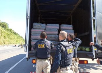 PRF apreende 480 Kg de Haxixe na BR101 e deixa prejuízo de aproximadamente 30 milhões ao crime organizado
