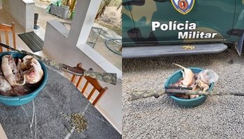 EM SOORETAMA – Polícia Ambiental apreende animais silvestres abatidos para comercialização